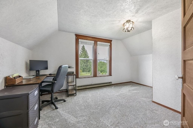 2217 200th St NE, Arlington, WA 98223 - office area with a baseboard radiator, a textured wall, lofted ceiling, a textured ceiling, and carpet