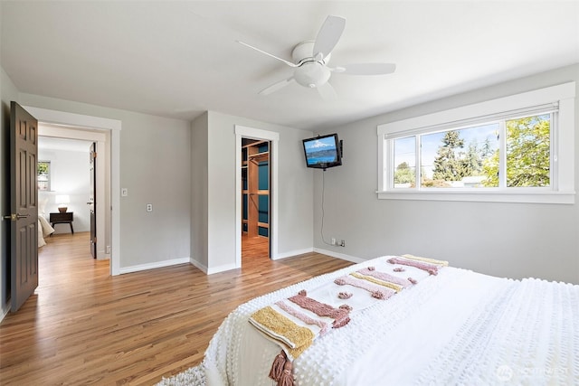 bedroom featuring light wood-type flooring, multiple windows, a spacious closet, and baseboards