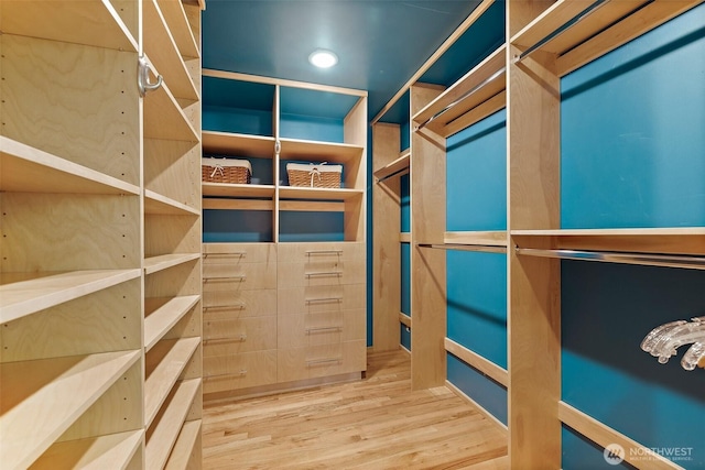 spacious closet with wood finished floors