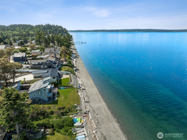 232 N Sunset Dr, Camano Island, WA 98282 - bird's eye view of a nearby body of water