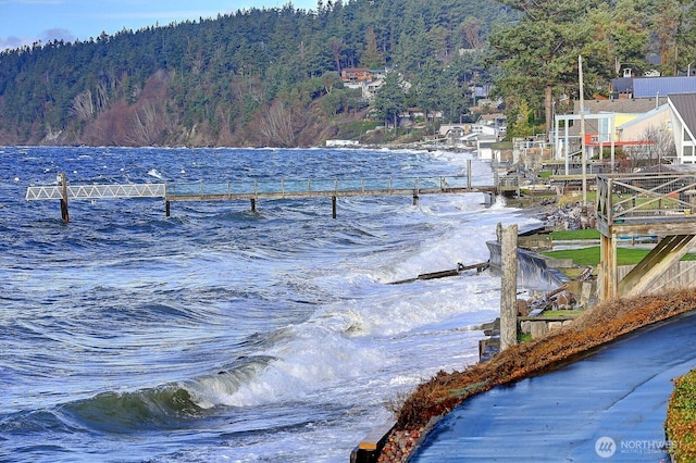 232 N Sunset Dr, Camano Island, WA 98282 - dock featuring a view of trees and a water view