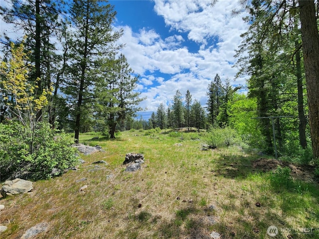 266 Bluebell Ln, Tonasket, WA 98855 - view of yard