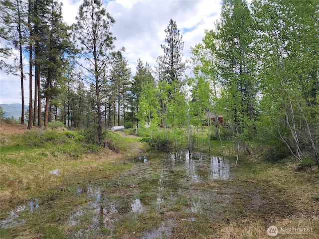 266 Bluebell Ln, Tonasket, WA 98855 - view of undeveloped land