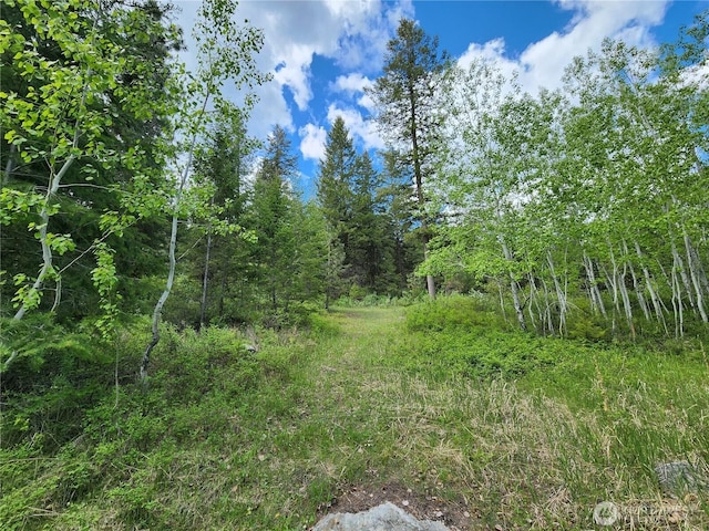 266 Bluebell Ln, Tonasket, WA 98855 - view of nature