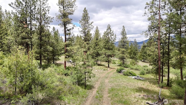 266 Bluebell Ln, Tonasket, WA 98855 - view of local wilderness featuring a mountain backdrop