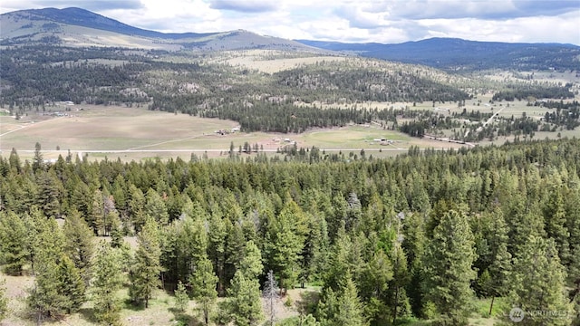 266 Bluebell Ln, Tonasket, WA 98855 - mountain view
