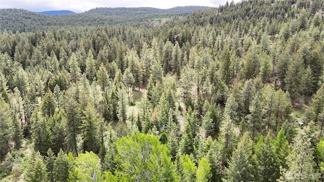 266 Bluebell Ln, Tonasket, WA 98855 - view of mountain background with a heavily wooded area