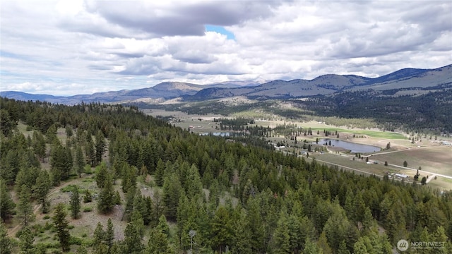 266 Bluebell Ln, Tonasket, WA 98855 - view of mountain background with a large body of water and a heavily wooded area