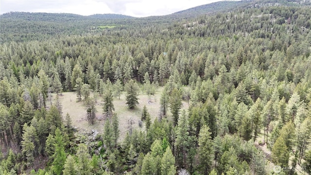 266 Bluebell Ln, Tonasket, WA 98855 - mountain view featuring a heavily wooded area