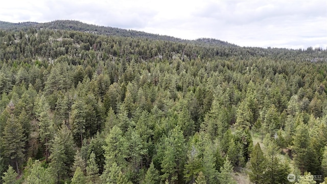 266 Bluebell Ln, Tonasket, WA 98855 - mountain view with a forest