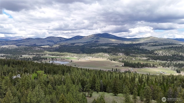 266 Bluebell Ln, Tonasket, WA 98855 - mountain view with a nearby body of water