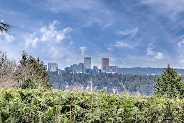 9340 Mercerwood Dr, Mercer Island, WA 98040 - view of city