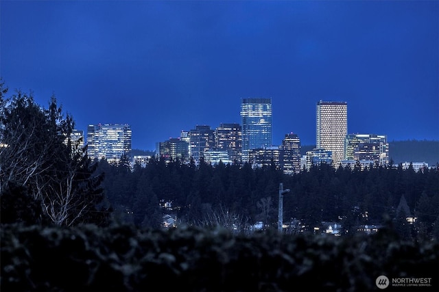 9340 Mercerwood Dr, Mercer Island, WA 98040 - city view featuring a view of city lights