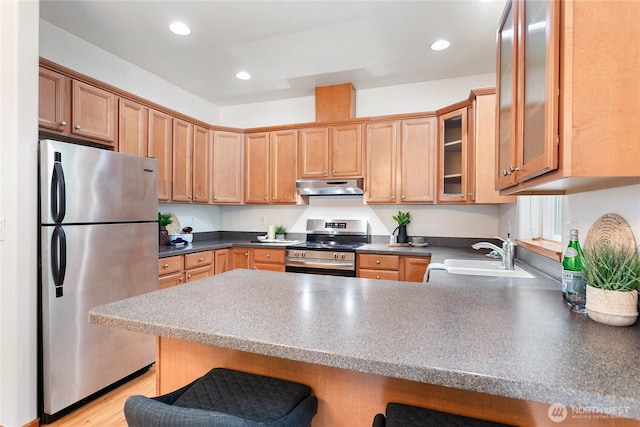 26 Inglewood Pl, Bellingham, WA 98229 - kitchen featuring appliances with stainless steel finishes, under cabinet range hood, a sink, a peninsula, and a kitchen bar