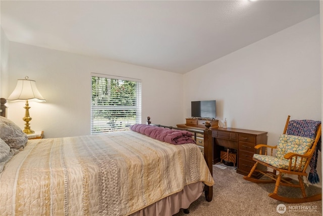 200 N Hamma Hamma Dr W, Hoodsport, WA 98548 - bedroom with carpet and vaulted ceiling