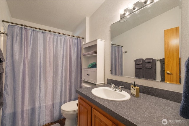 200 N Hamma Hamma Dr W, Hoodsport, WA 98548 - full bathroom featuring vanity, toilet, and vaulted ceiling