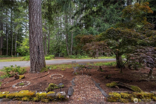 200 N Hamma Hamma Dr W, Hoodsport, WA 98548 - view of yard with a wooded view