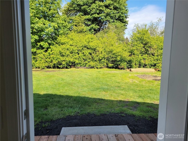 2917 Tierney St SW, Olympia, WA 98512 - view of green lawn