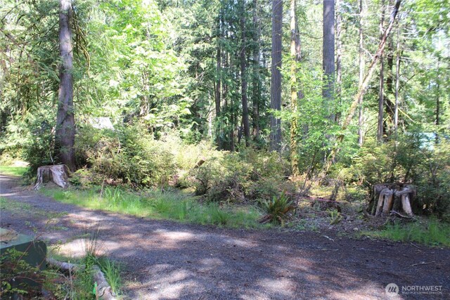 684 E Portage Rd, Shelton, WA 98584 - photo 3
