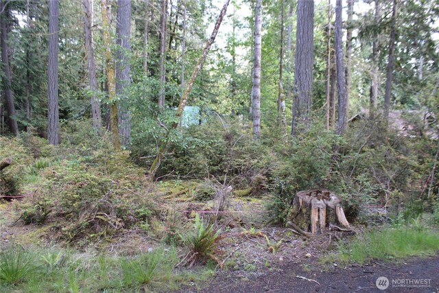 684 E Portage Rd, Shelton, WA 98584 - photo 22