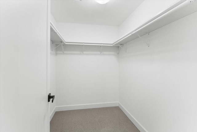 3004 13th St SW, Puyallup, WA 98373 - photo 14