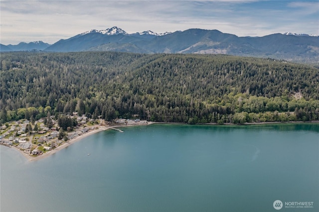 0 N US Highway 101, Lilliwaup, WA 98555
