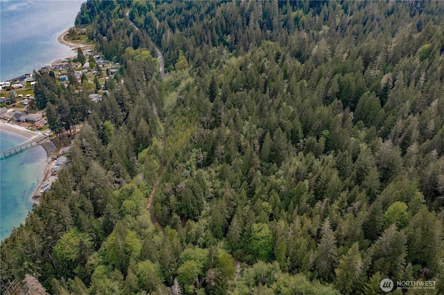 0 N US Highway 101, Lilliwaup, WA 98555