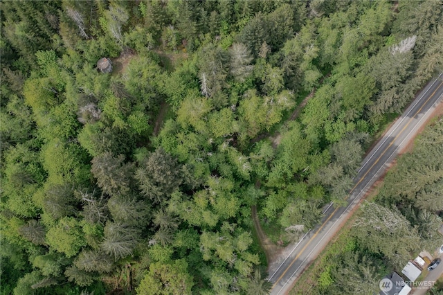 0 N US Highway 101, Lilliwaup, WA 98555