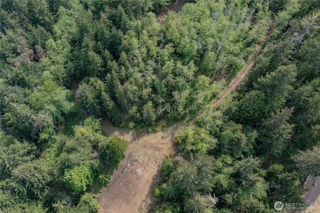 0 N US Highway 101, Lilliwaup, WA 98555