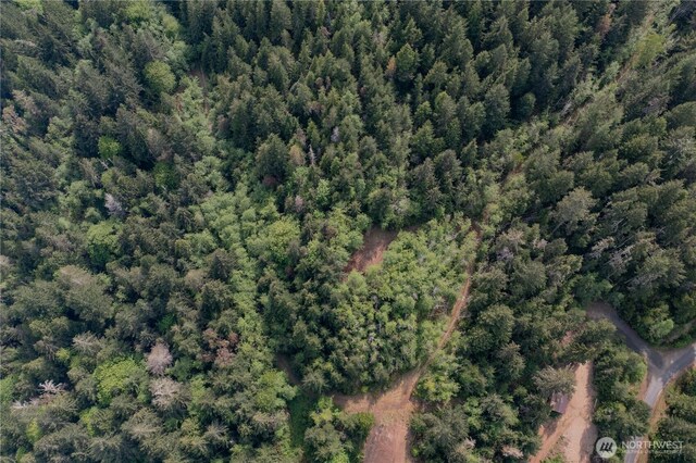 0 N US Highway 101, Lilliwaup, WA 98555