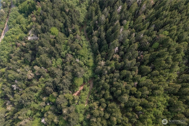 0 N US Highway 101, Lilliwaup, WA 98555