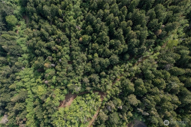 0 N US Highway 101, Lilliwaup, WA 98555