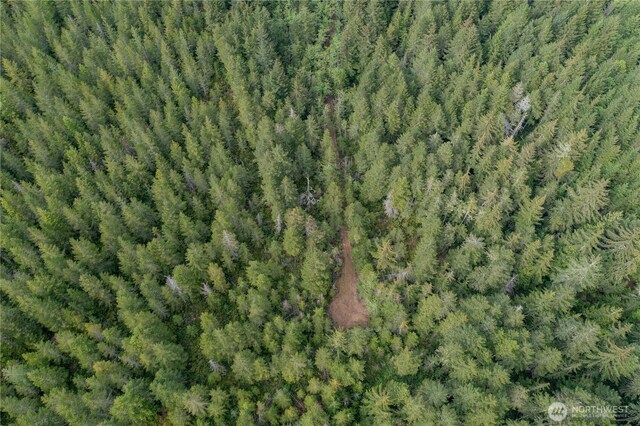 0 N US Highway 101, Lilliwaup, WA 98555