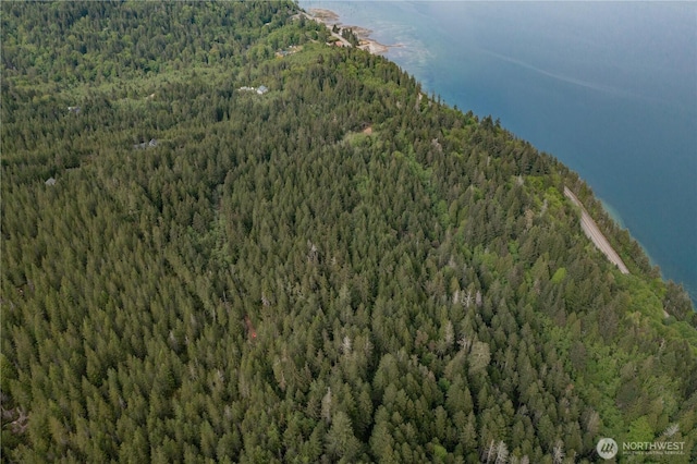 0 N US Highway 101, Lilliwaup, WA 98555
