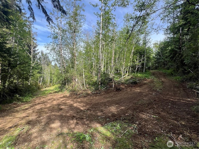 0 N US Highway 101, Lilliwaup, WA 98555
