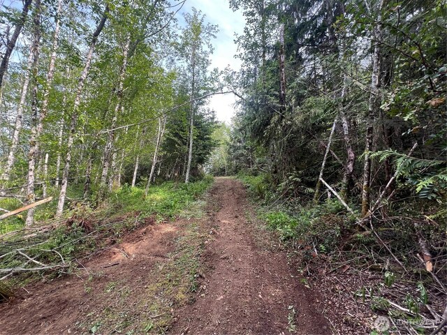 0 N US Highway 101, Lilliwaup, WA 98555