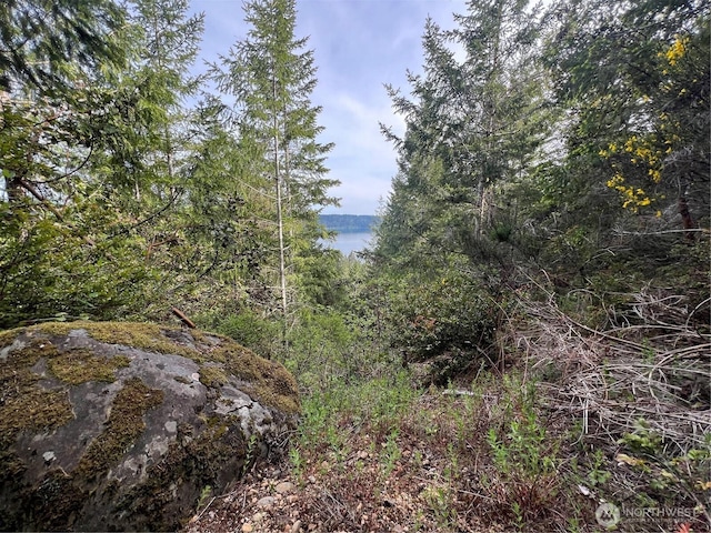 0 N US Highway 101, Lilliwaup, WA 98555
