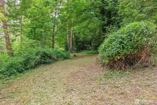 1052XX SW Cowan Rd, Vashon, WA 98070