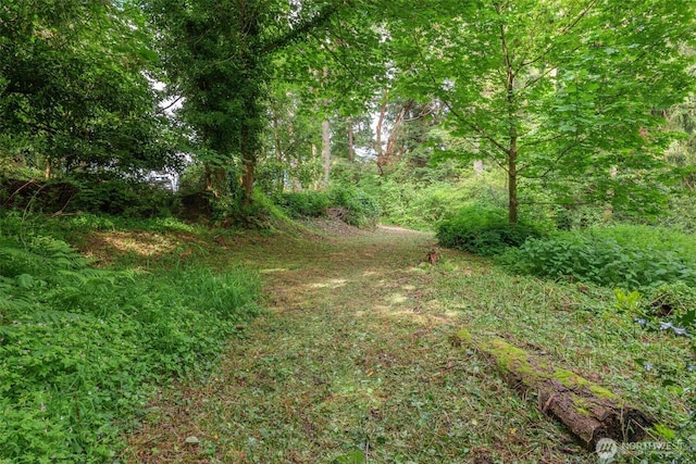 1052XX SW Cowan Rd, Vashon, WA 98070