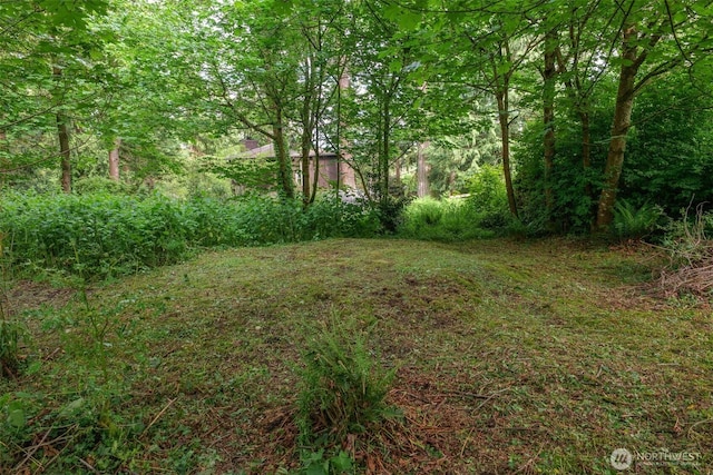 1052XX SW Cowan Rd, Vashon, WA 98070