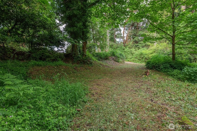 1052XX SW Cowan Rd, Vashon, WA 98070