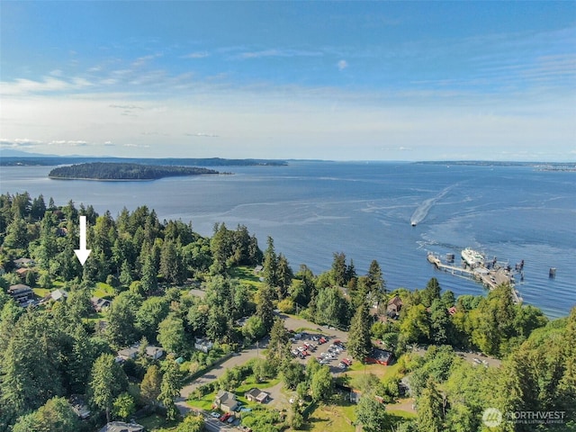 1052XX SW Cowan Rd, Vashon, WA 98070
