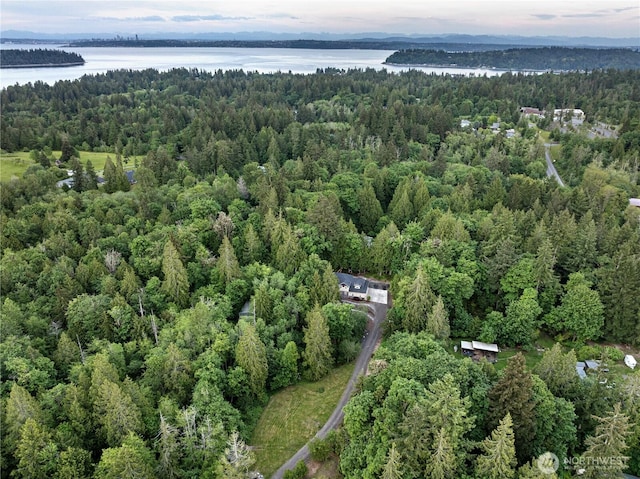 4565 Harper Hill Rd SE, Port Orchard, WA 98366 - drone / aerial view of a forest and a nearby body of water