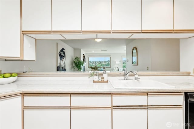 2040 13th Ave W Unit 41, Seattle, WA 98119 - kitchen featuring a sink, white cabinetry, and light countertops