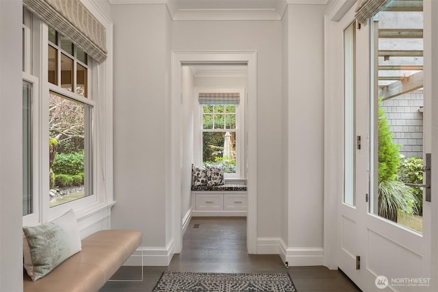 3719 E Highland Dr, Seattle, WA 98112 - mudroom featuring ornamental molding, baseboards, and dark wood-style flooring