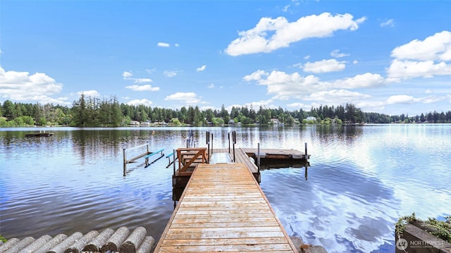 3514 Long Lake Dr SE, Lacey, WA 98503 - dock area featuring a water view, a forest view, and boat lift