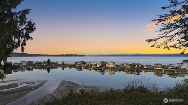 10220 NE Lafayette Ave, Bainbridge Island, WA 98110 - water view