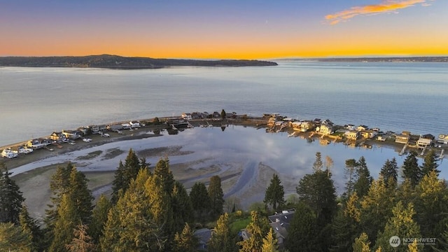 10220 NE Lafayette Ave, Bainbridge Island, WA 98110 - bird's eye view of a large body of water