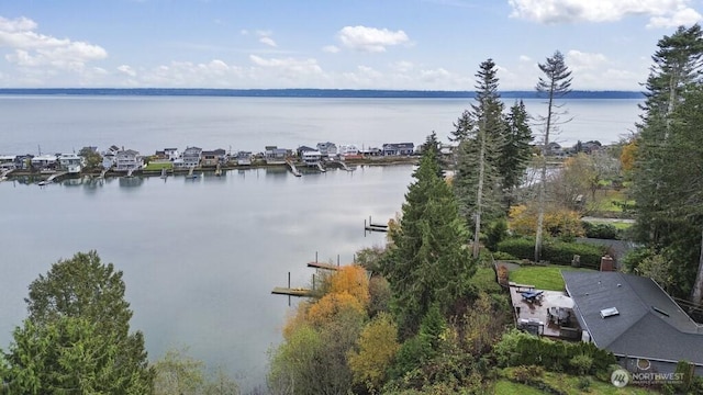 10220 NE Lafayette Ave, Bainbridge Island, WA 98110 - water view