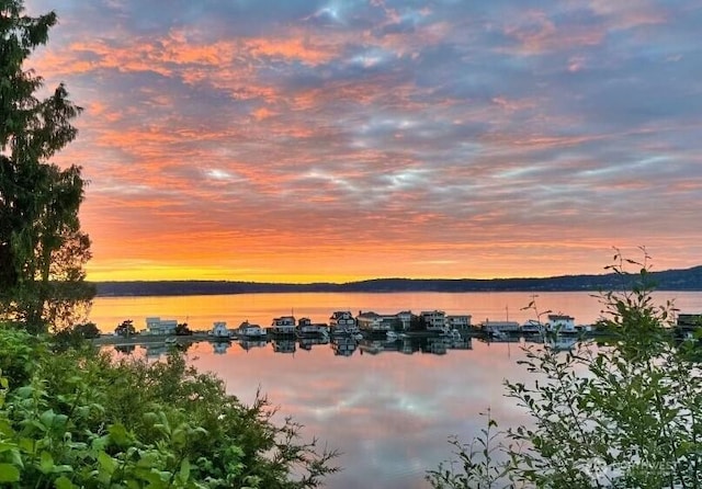 10220 NE Lafayette Ave, Bainbridge Island, WA 98110 - water view
